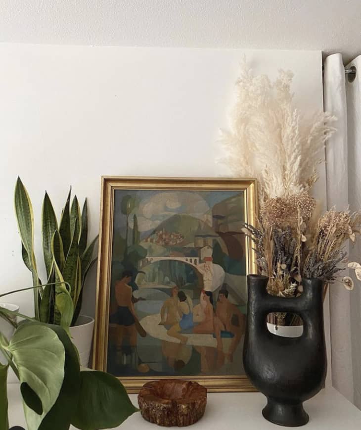 Dried online plants decor